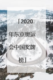 「2020年东京奥运会中国奖牌榜」2020年东京奥运会中国奖牌榜翻杠16岁女孩叫什么名字