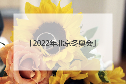 「2022年北京冬奥会」2022年北京冬奥会和冬残奥会吉祥物